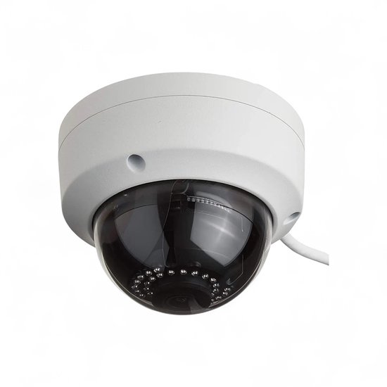 Slimme Tuya WiFi Dome Beveiligings Camera - 2,4Ghz - 4MP Resolutie 2688 x 1520 - | Vaste kijkhoek met groothoeklens - Detectie alarm - Persoon herkenning - Opname functie via SD kaart, Cloud (betaald) van Merkloos — afbeelding 2