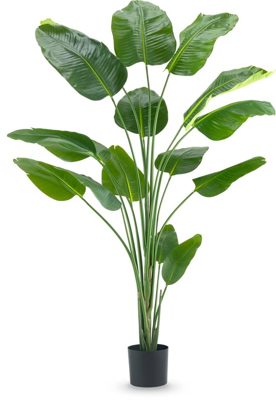 Easyplants | Plante artificielle Strelitzia 210 cm real touch | Soie | Strelitzia | Vert
