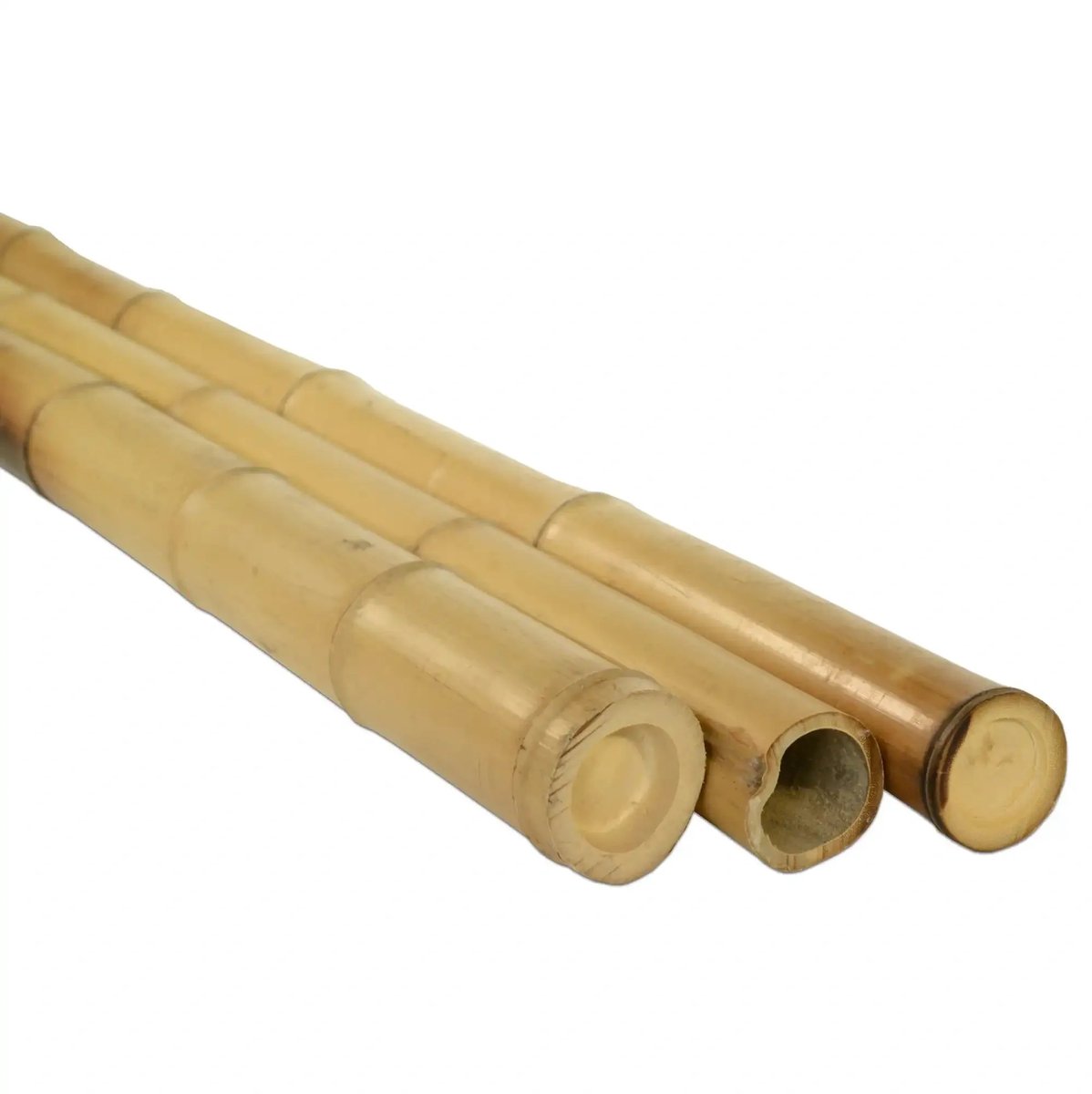 Masters of Bamboo® Bamboe Paal Moso - 400 cm - Ø 5-7 cm