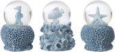Drie decoratieve waterbollen met zeesferen: zeepaardje, vis en zeester, op een blauw-grijze, koraalachtige basis.
