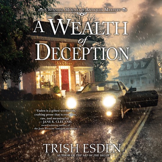 A Wealth of Deception - cover