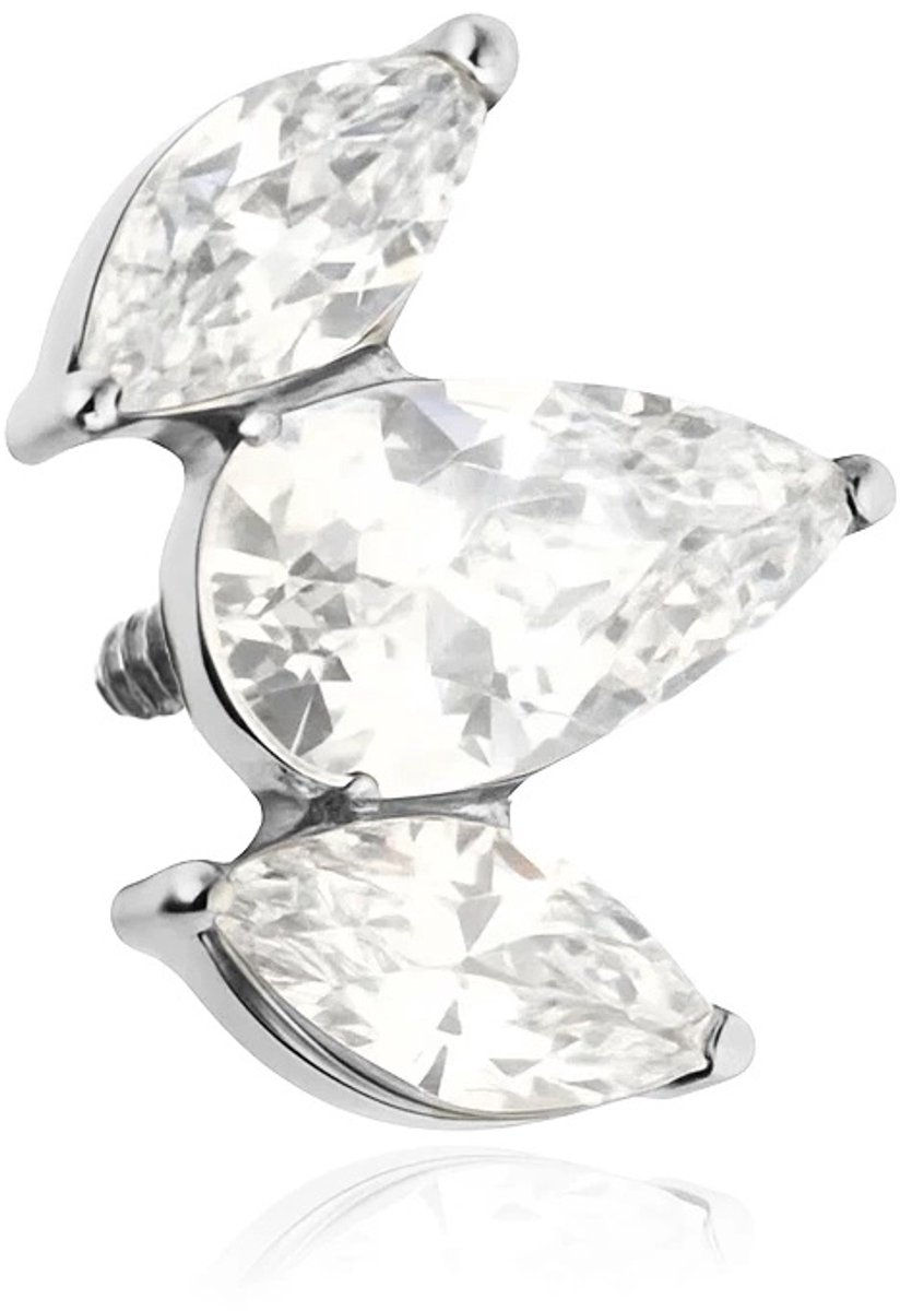 Crazy Needles - TNA-121 - Titanen Moer - Zirkonia - Zilver