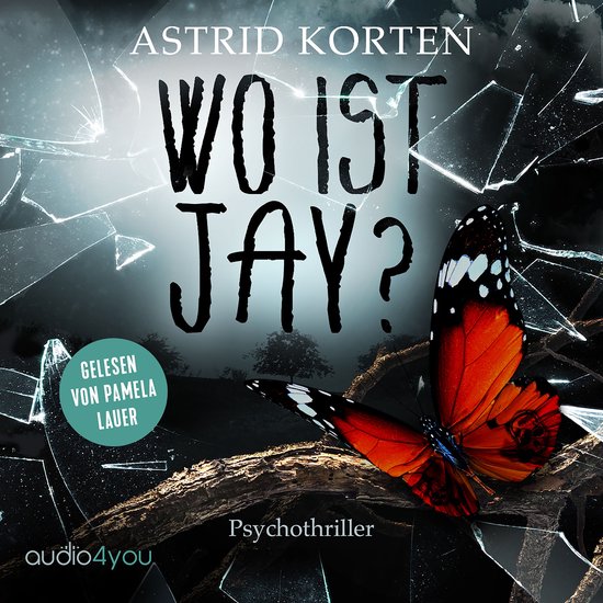 Wo ist Jay - cover