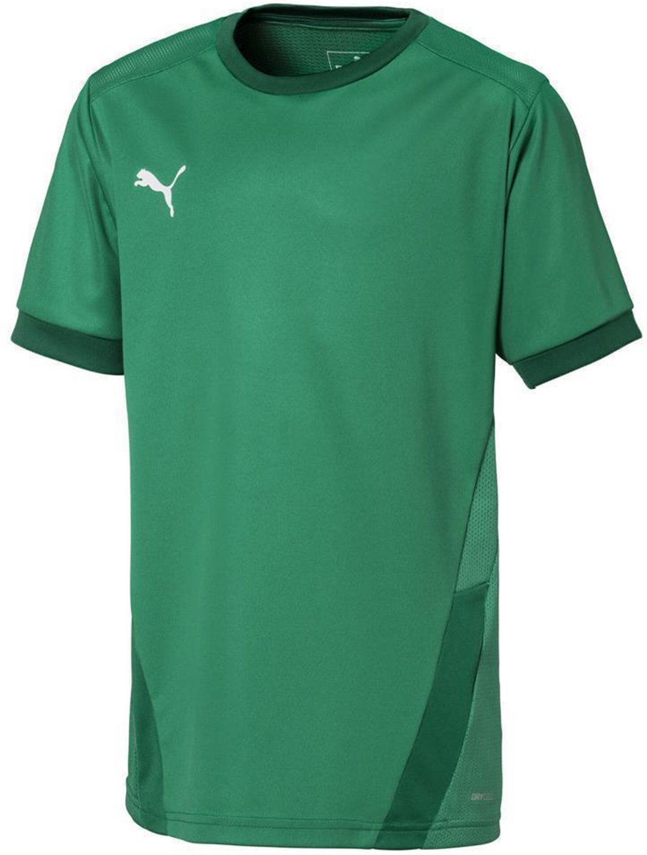 Puma T-shirt Kinderen teamGOAL 23 Jersey Groen - Maat 116cm