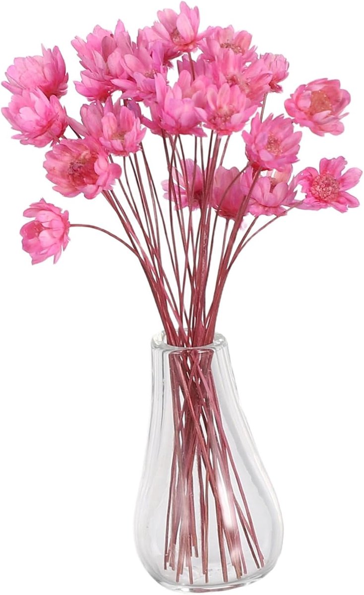Miniatuur Bloemen - Poppenhuis Decoratie - Interieur Styling - Echte Gedroogde Bloemen - 7 x 1.5 cm - Roze