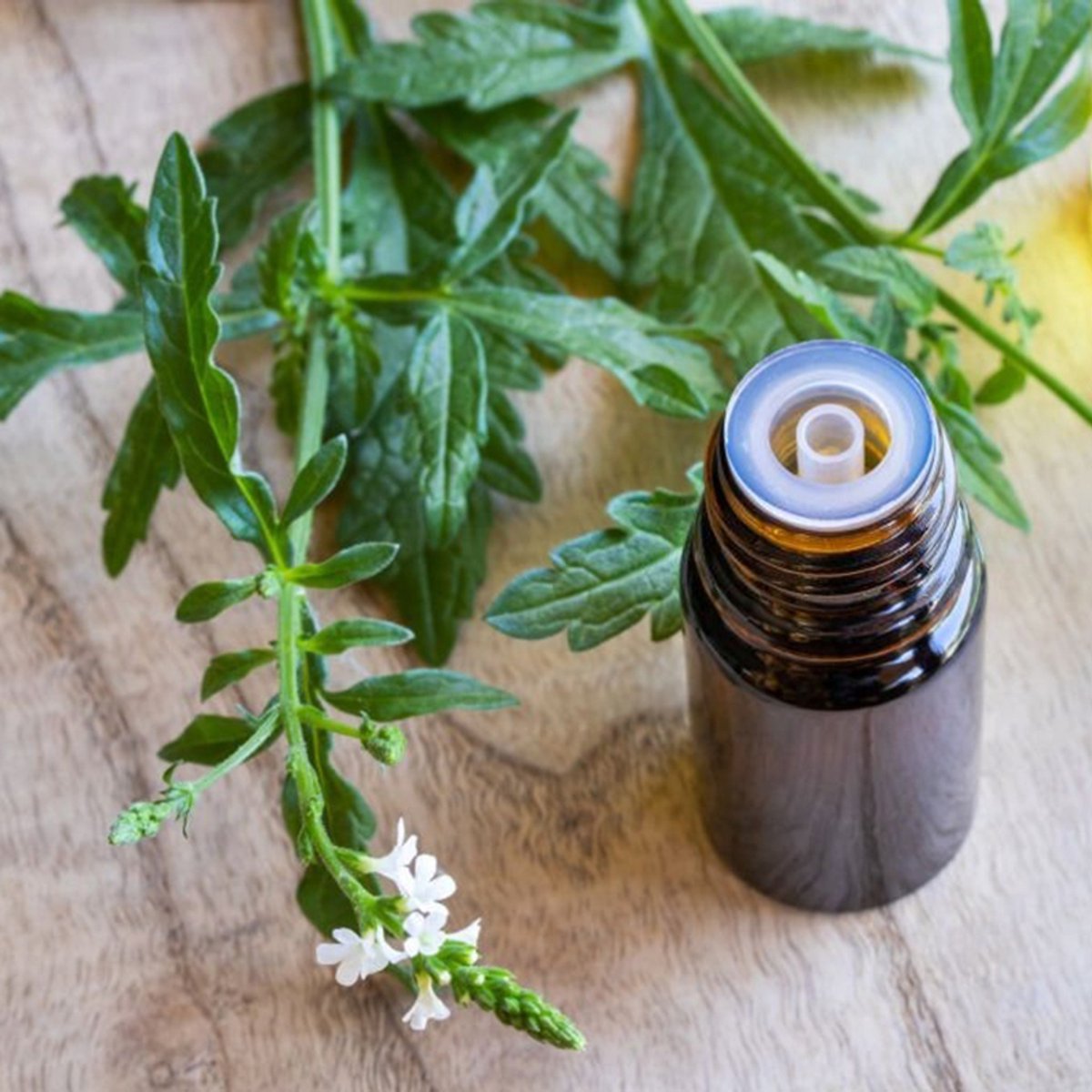 Verbena Etherische Olie - 250 ml