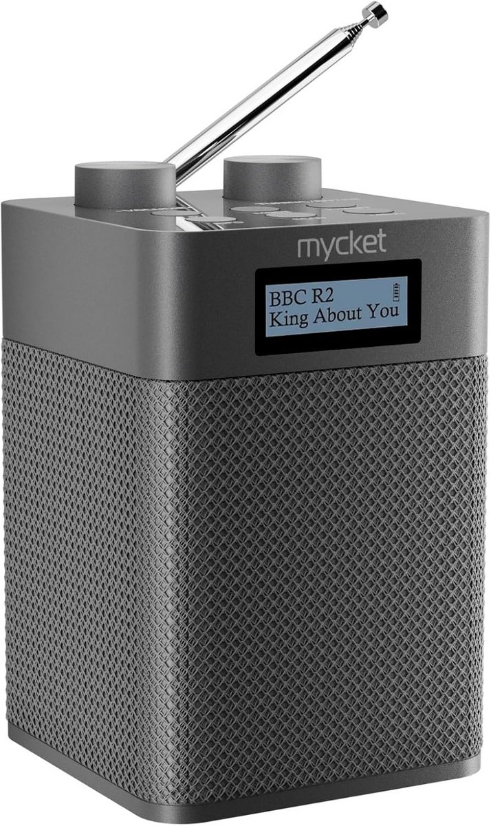 Draagbare DAB/DAB+ Radio met Bluetooth, Oplaadbaar en Batterijgevoed, 80 Voorkeuzestations