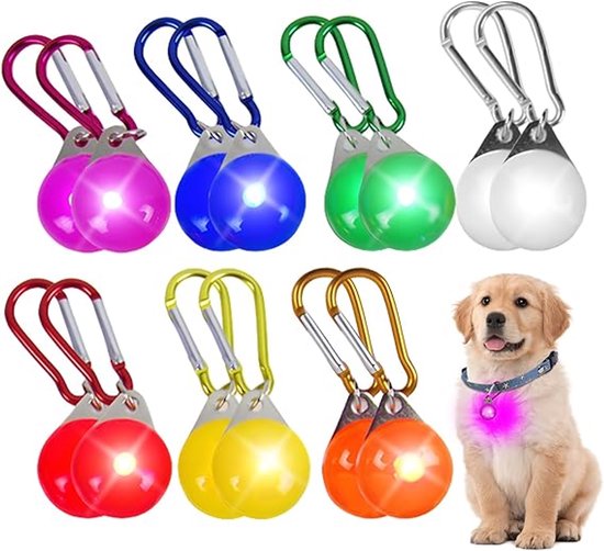 Groupe de lampes LED colorées et un chiot portant une lumière rose autour du cou.