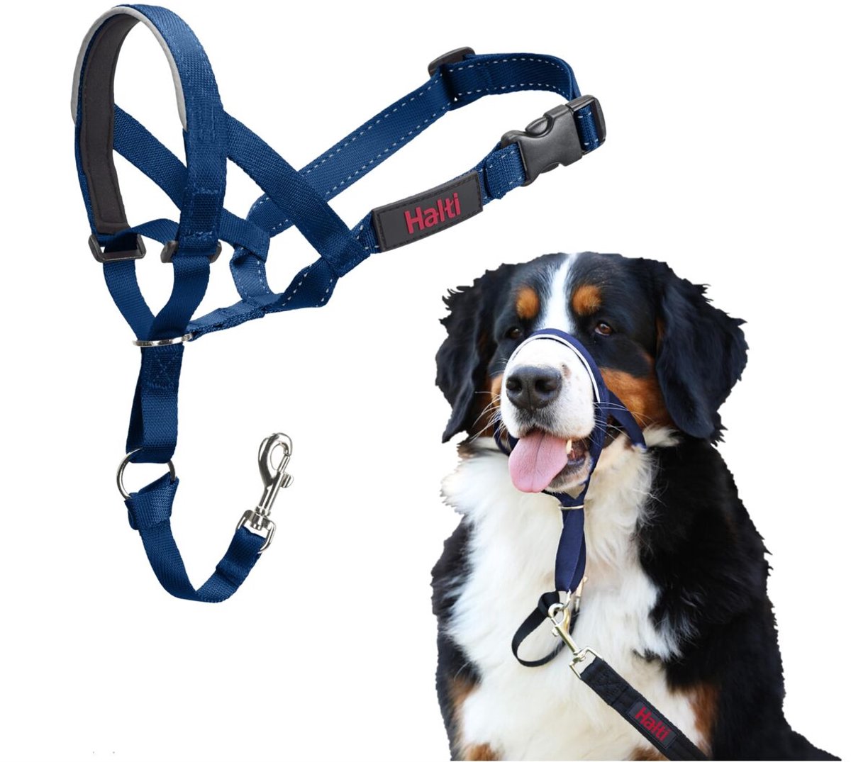 Halti Headcollar - Cobalt Blue - Maat 4
