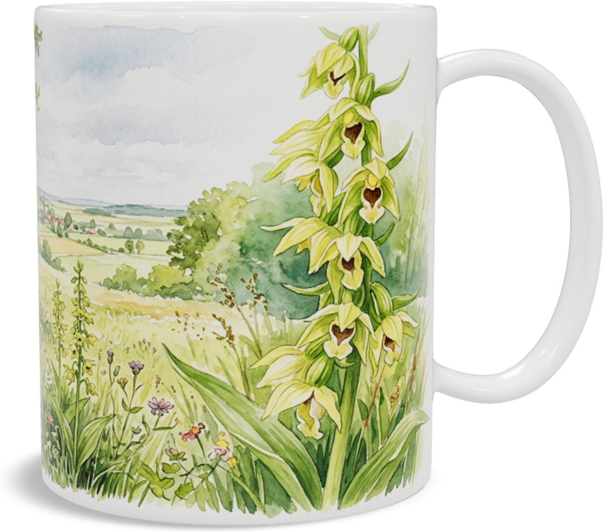 Aquarel Series Mok - Geelgroene Wespenorchis Epipactis muelleri - Wilde Orchidee Bosrand en Heuvelrug Landschap - Botanische Kunst Natuur Cadeau voor haar: Vrouw, Vriendin of Collega