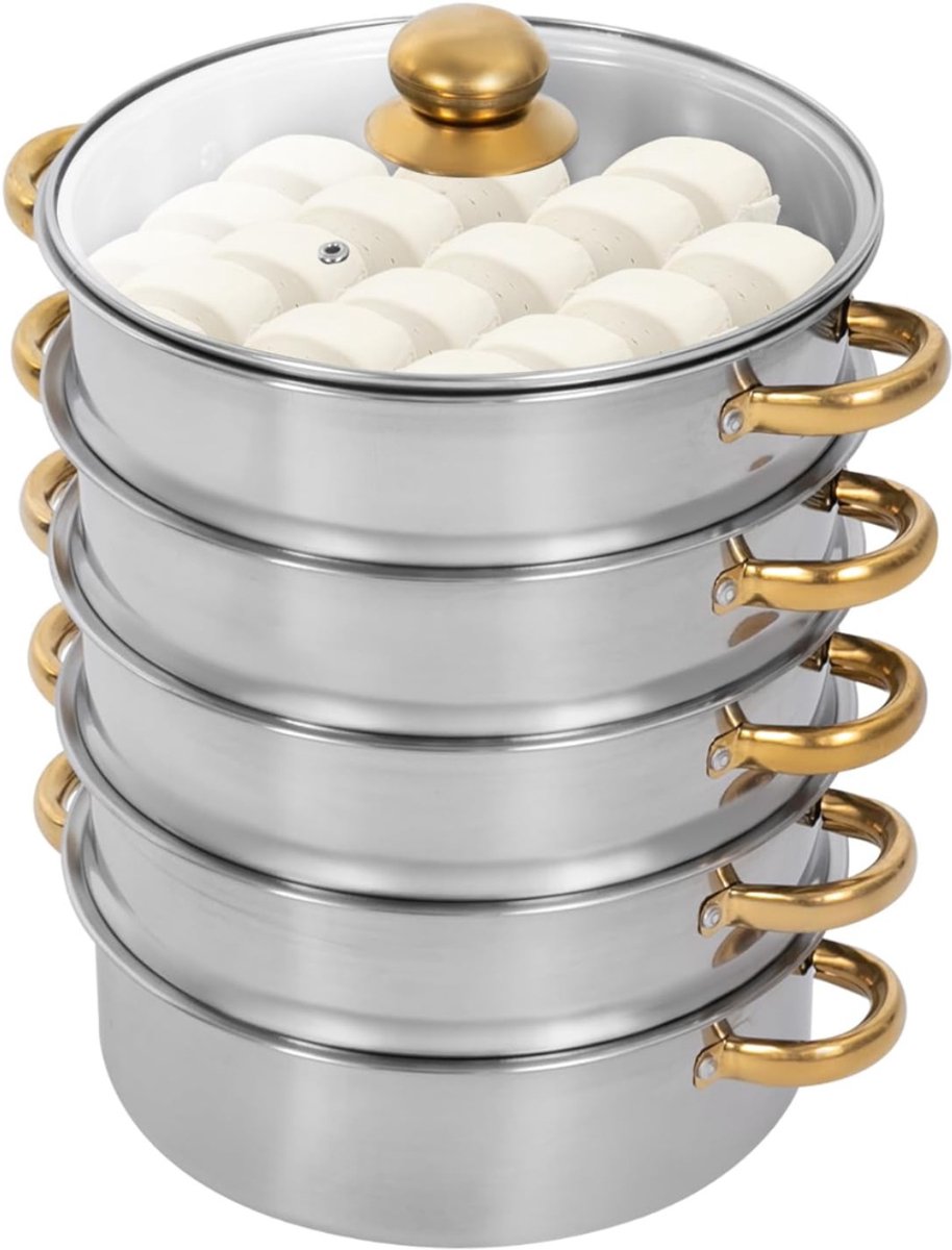 DYNA® Stoomkoker - Stoomkokers - Stoompan - Goud / Zilver - 42cm x 32cm x 30 cm