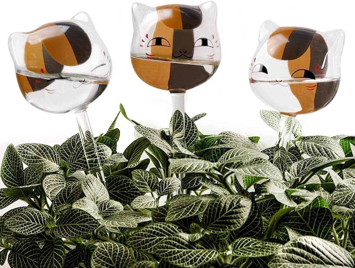 Zelfbewaterende bollen voor planten - Handgeblazen helder glas (set van 3)