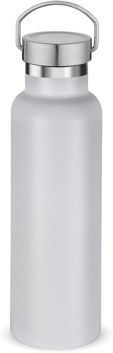 Geïsoleerde RVS Waterfles 600ML Drinkfles Met Lekvrij Deksel Voor Onderweg