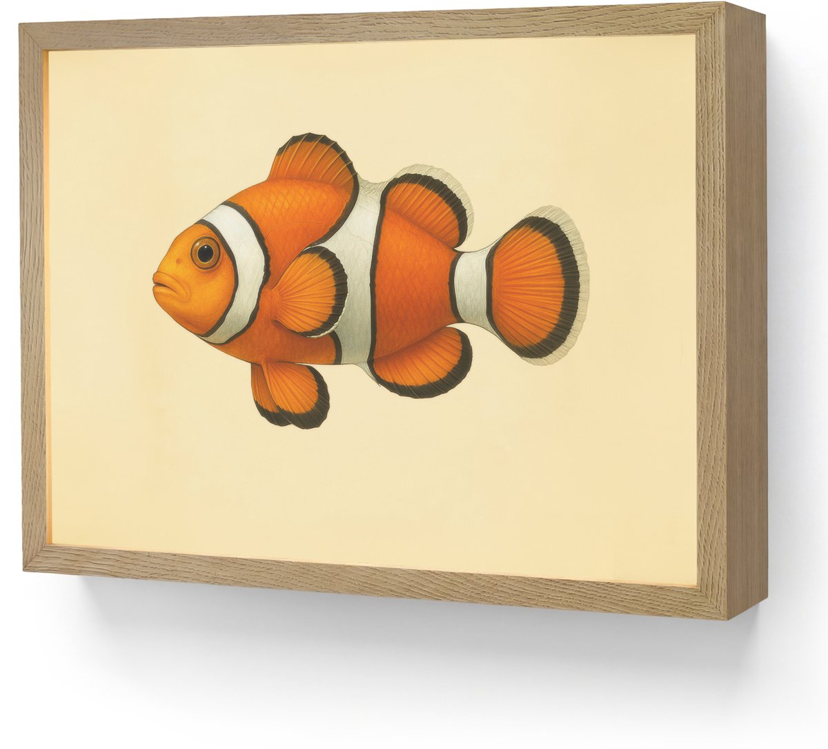 Wandlamp 40x30 cm - Oplaadbaar - Vis - Oranje - Strepen - Wandlampen binnen woonkamer - Sl