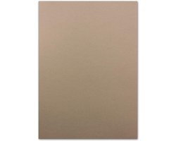 100 Vel Cappuccino (Bruin) Papier DIN A4 110 g/m² Knutsel- en Briefpapier