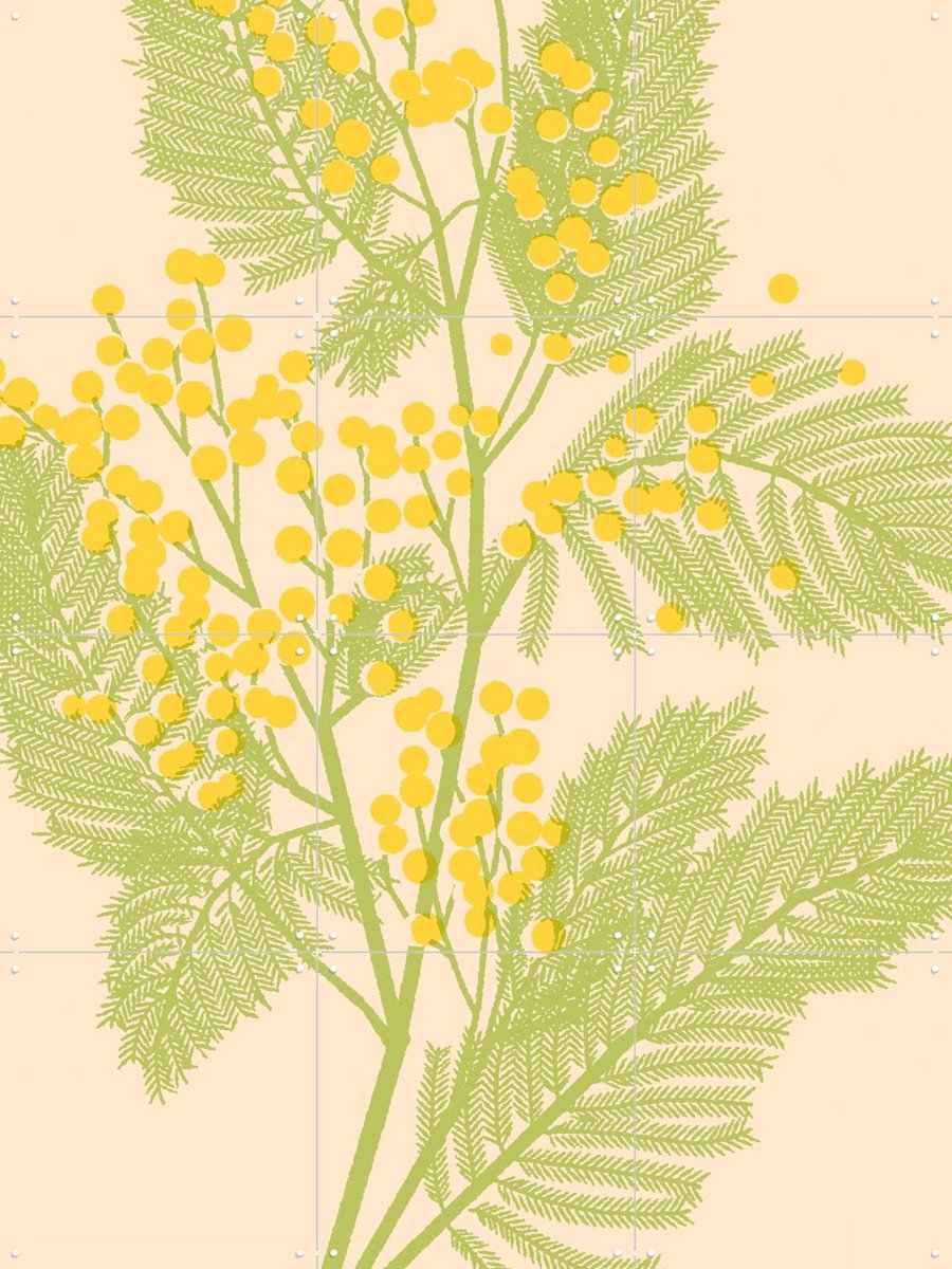 IXXI Mimosa, Florent Bodart - 60 x 80 cm - Gratis ophangtool - Grote wanddecoratie en posters - Grafisch Ontwerp, Minimalisme, Kleurrijk