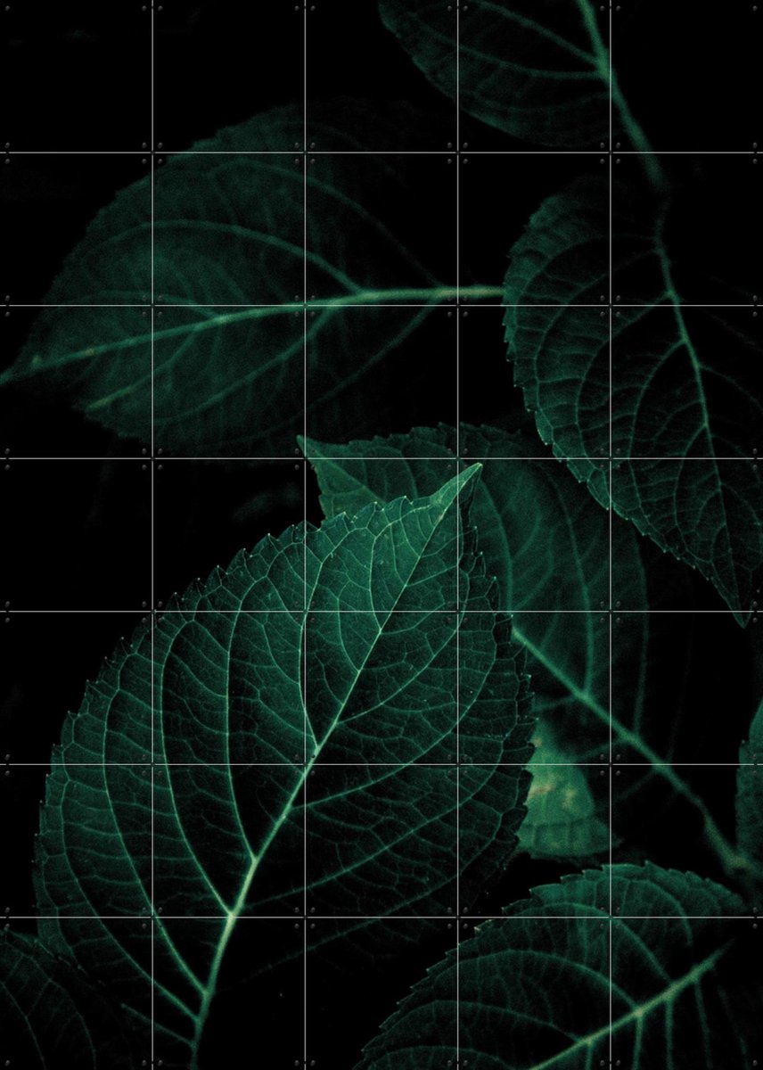 IXXI Dark Leaves, Mareike Böhmer - 100 x 140 cm - Gratis ophangtool - Grote wanddecoratie en posters - Fotografie, Naturalisme, Woonkamer, Slaapkamer