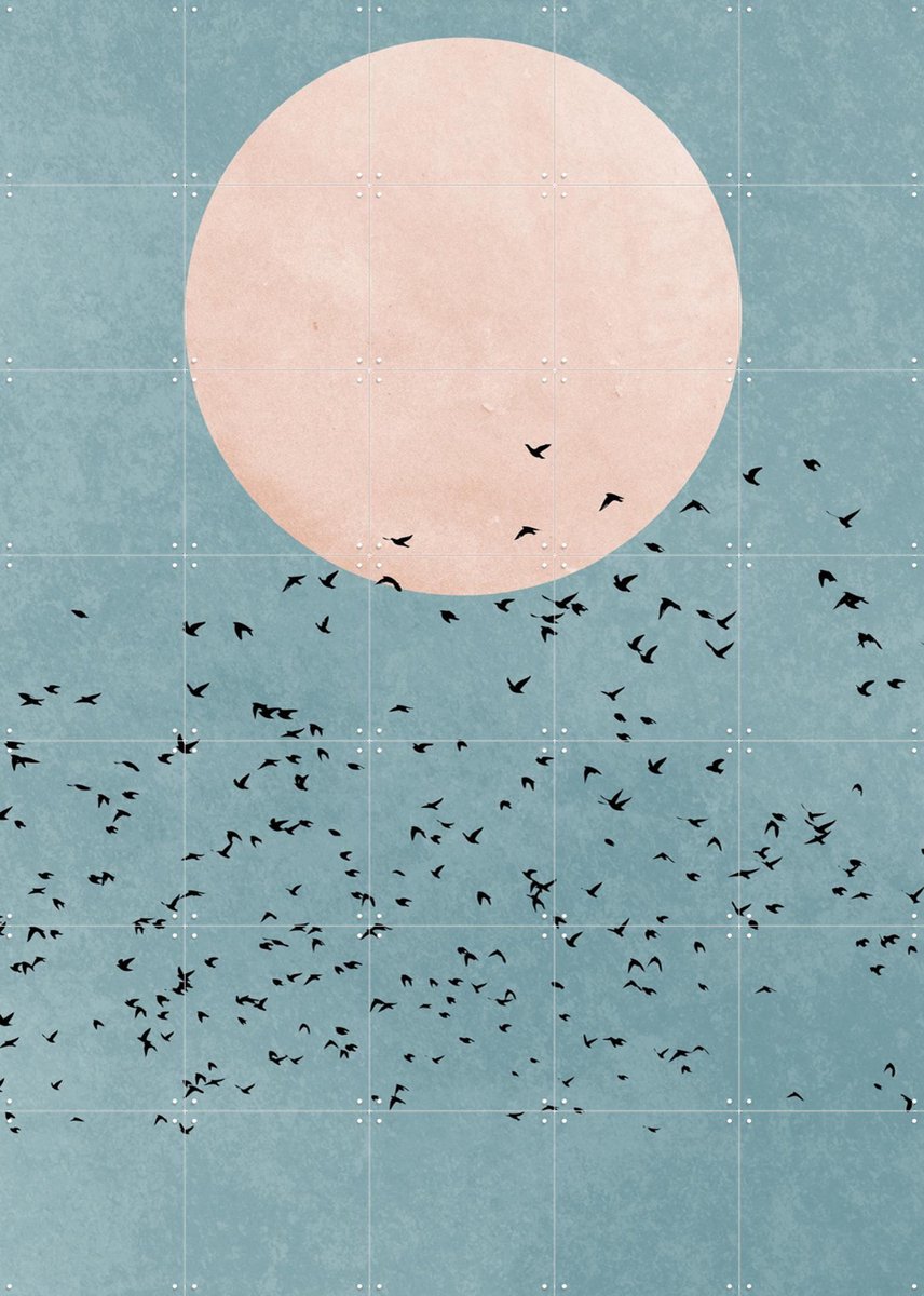 IXXI Fly Away, Kubistika - 100 x 140 cm - Gratis ophangtool - Grote wanddecoratie en posters - Minimalisme, Grafisch Ontwerp, Abstract, Slaapkamer