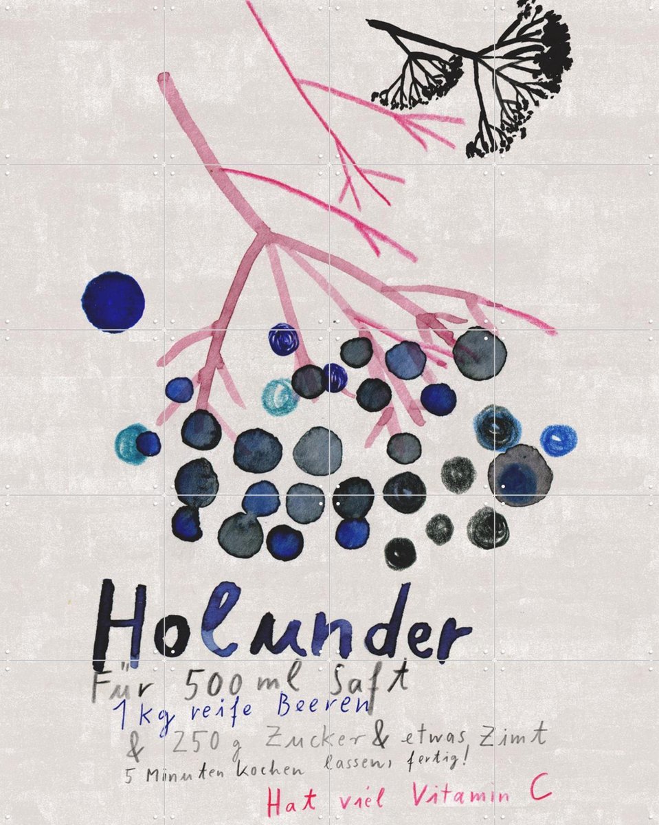 IXXI Holunder, Signorinah - 80 x 100 cm - Gratis ophangtool - Grote wanddecoratie en posters - Illustraties, Speels, Aquarel, Woonkamer, Eetkamer