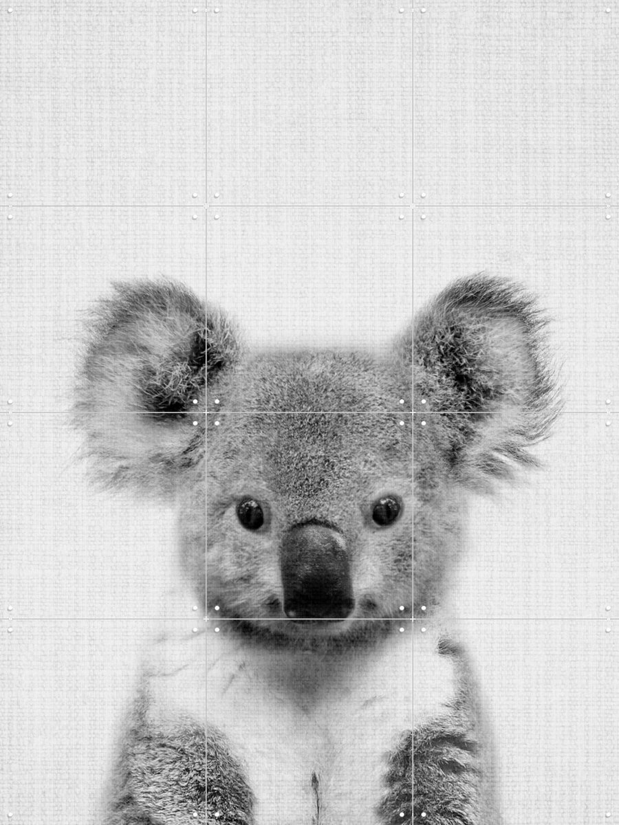 IXXI Print 67 Koala, Lila + Lola - 60 x 80 cm - Gratis ophangtool - Grote wanddecoratie en posters - Minimalisme, Fotografie, Babykamer, Woonkamer