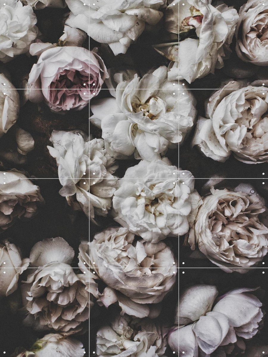IXXI Peony Roses, STUDIO HANNAH LEMHOLT - 60 x 80 cm - Gratis ophangtool - Grote wanddecoratie en posters - Fotografie, Slaapkamer, Woonkamer
