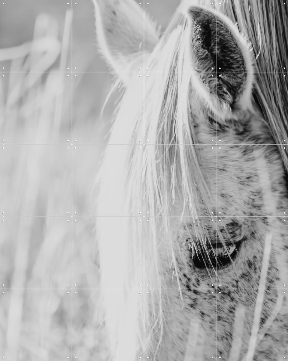 IXXI Wild Horse Indie Rose, Ingrid Beddoes - 80 x 100 cm - Gratis ophangtool - Grote wanddecoratie en posters - Fotografie, Woonkamer, Slaapkamer