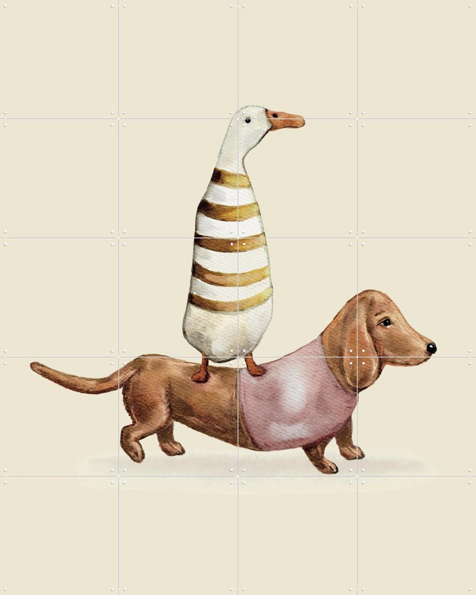 IXXI Teckel - pink, Irene Jelier - 80 x 100 cm - Gratis ophangtool - Grote wanddecoratie en posters - Speels, Cartoonesk, Illustraties, Woonkamer