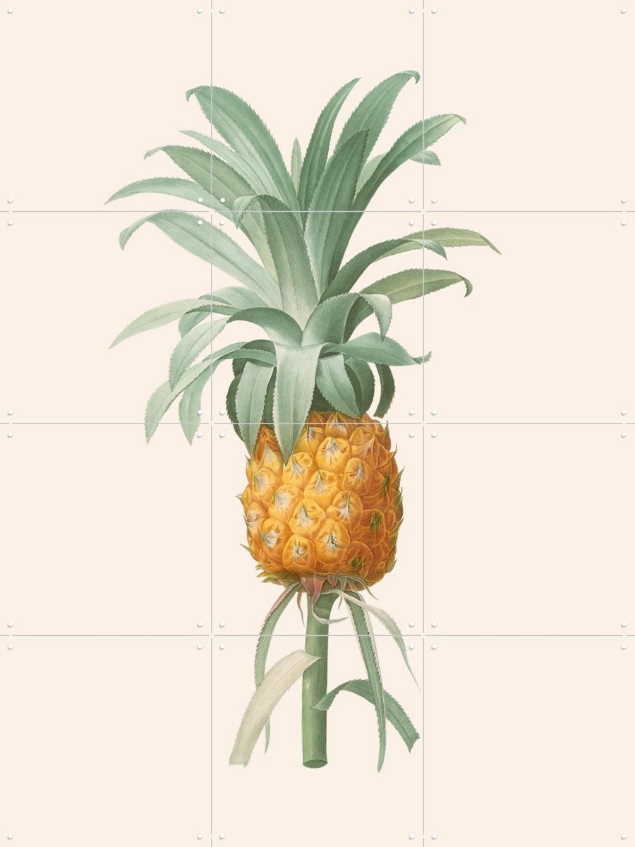 IXXI Ananas, Aster Edition - 60 x 80 cm - Gratis ophangtool - Grote wanddecoratie en posters - Vintage, Illustraties, Naturalisme, Keuken, Woonkamer