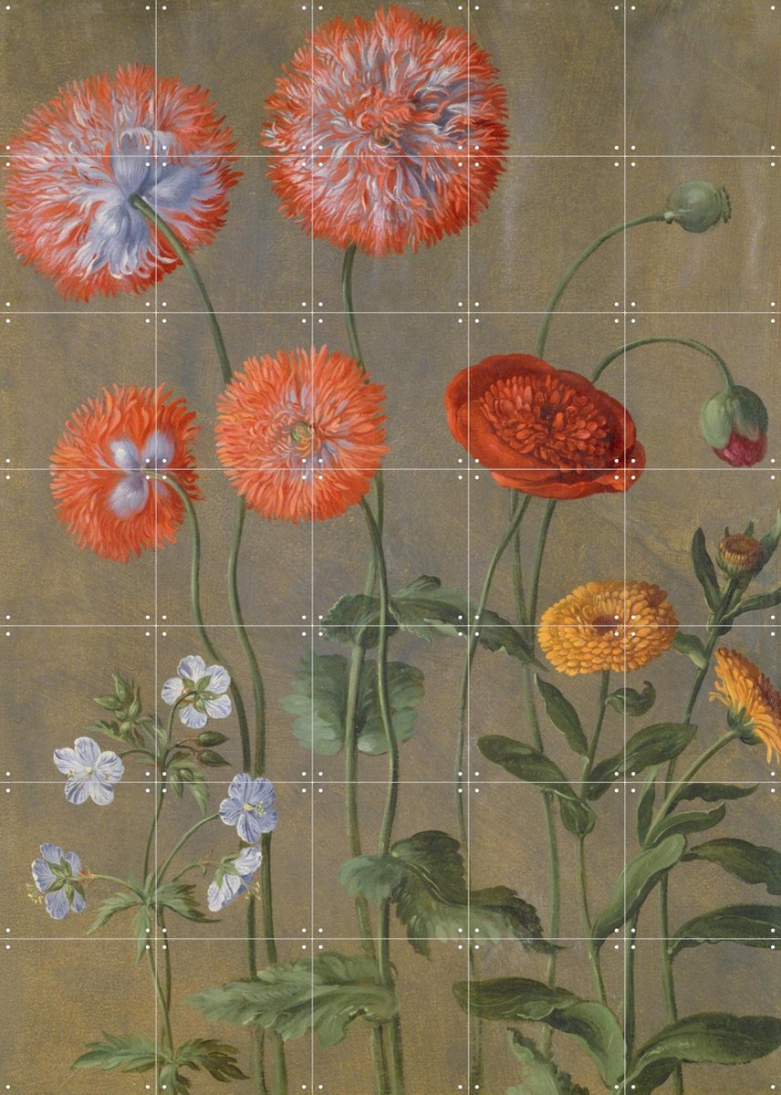 IXXI Poppies, Johann Jakob Walther & Victoria and Albert Museum - 100 x 140 cm - Gratis ophangtool - Grote wanddecoratie en posters - Realisme
