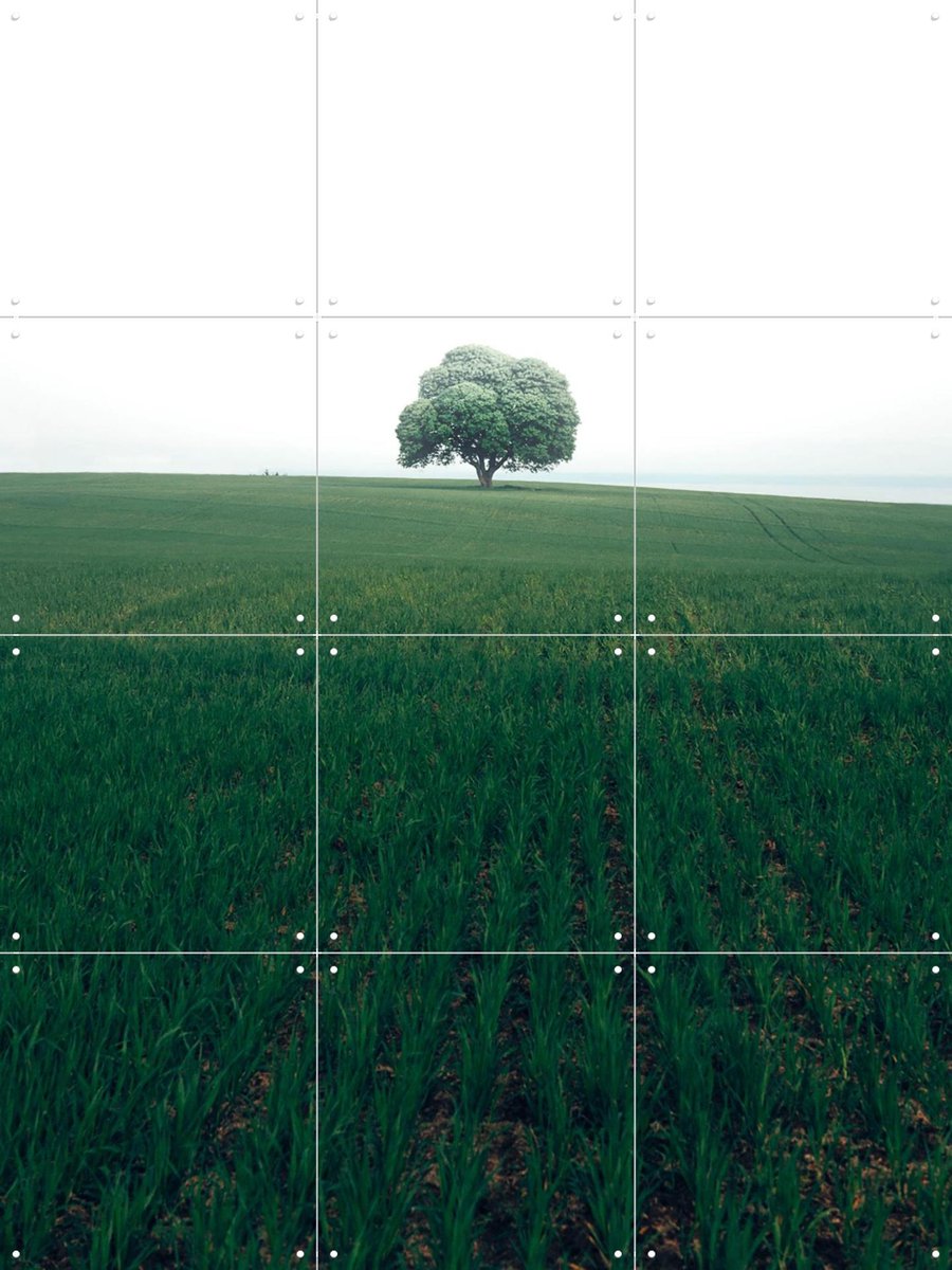 IXXI The lonely Oak Tree, Christian Lindsten & Various - 60 x 80 cm - Gratis ophangtool - Grote wanddecoratie en posters - Fotografie, Minimalisme