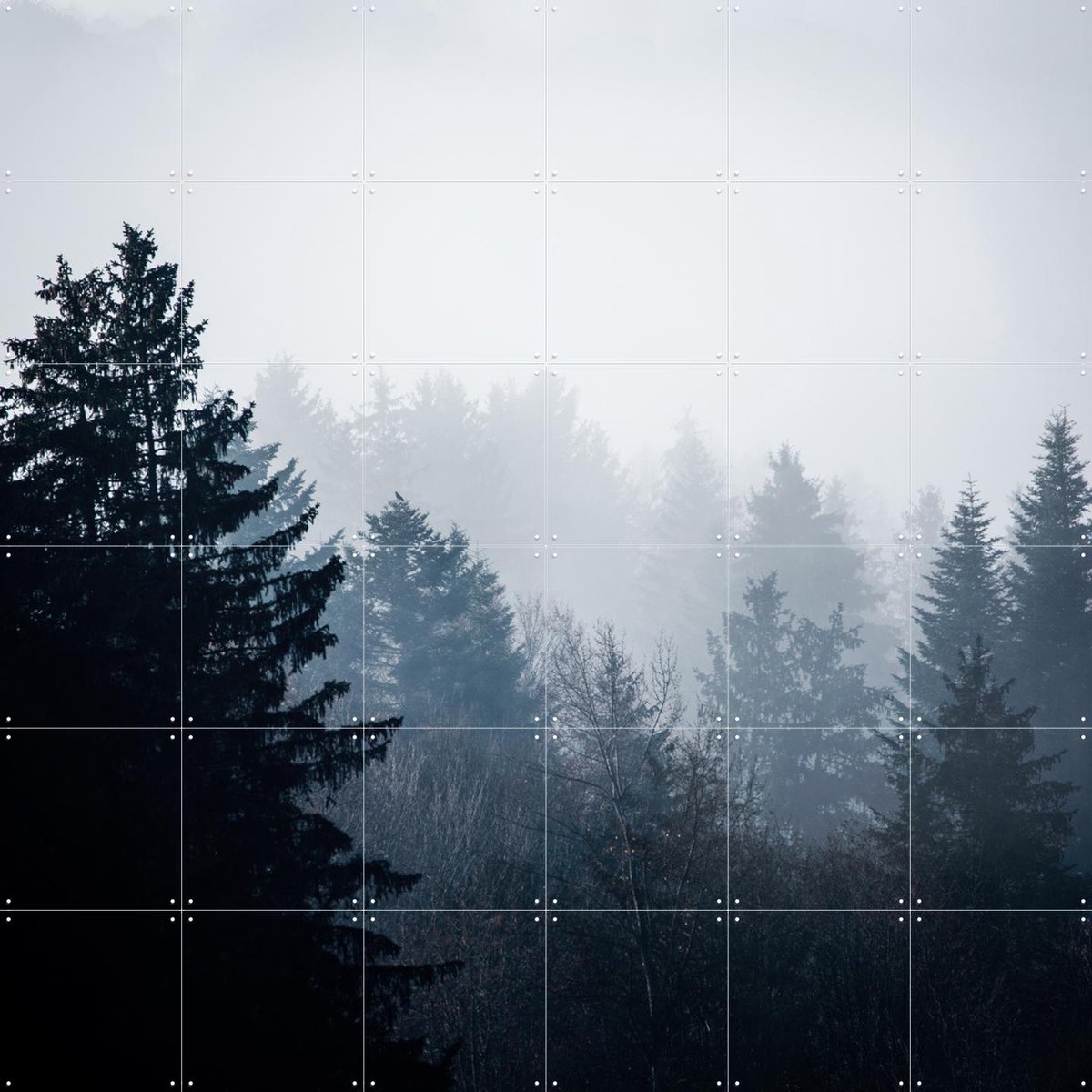 IXXI Woods 7, Mareike Böhmer - 120 x 120 cm - Gratis ophangtool - Grote wanddecoratie en posters - Fotografie, Woonkamer, Slaapkamer, Bossen, Natuur