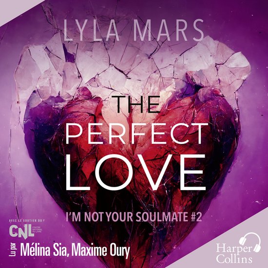 The Perfect Love - cover