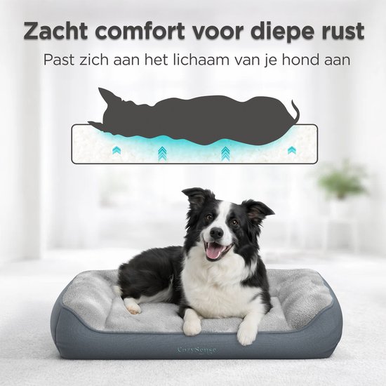 Bordercollie op een grijs hondenkussen dat zich aanpast aan het lichaam.