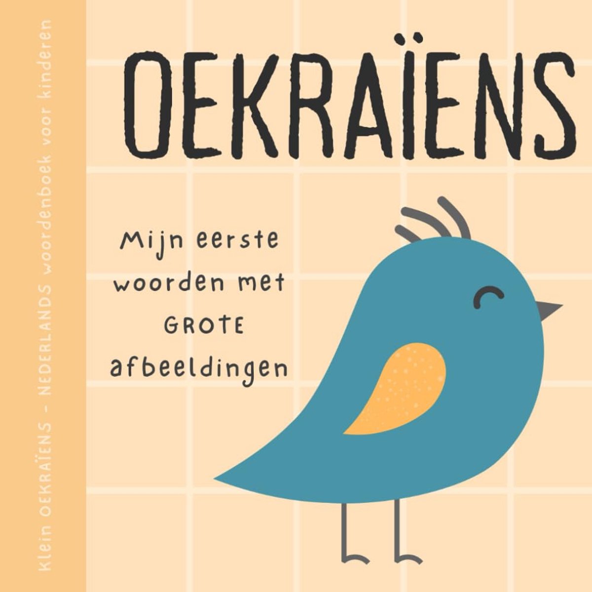 Kinder Woordenboek - Eerste Woordenboek - Taal Leren - Grote Afbeeldingen - 21x21 cm