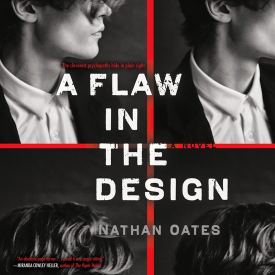 A Flaw in the Design - cover