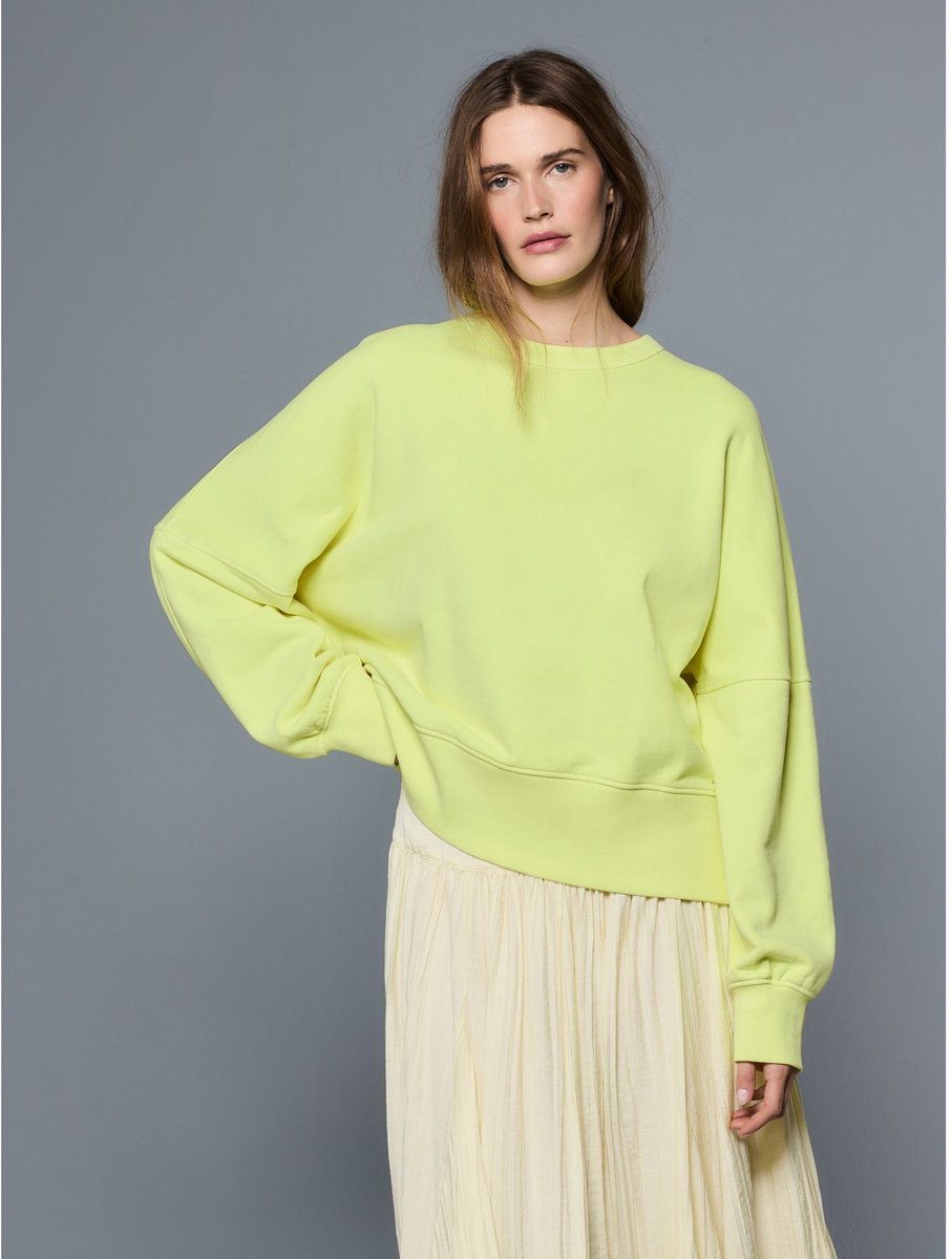 Next - Dames - Ronde hals gewassen Sweatshirt - Groen