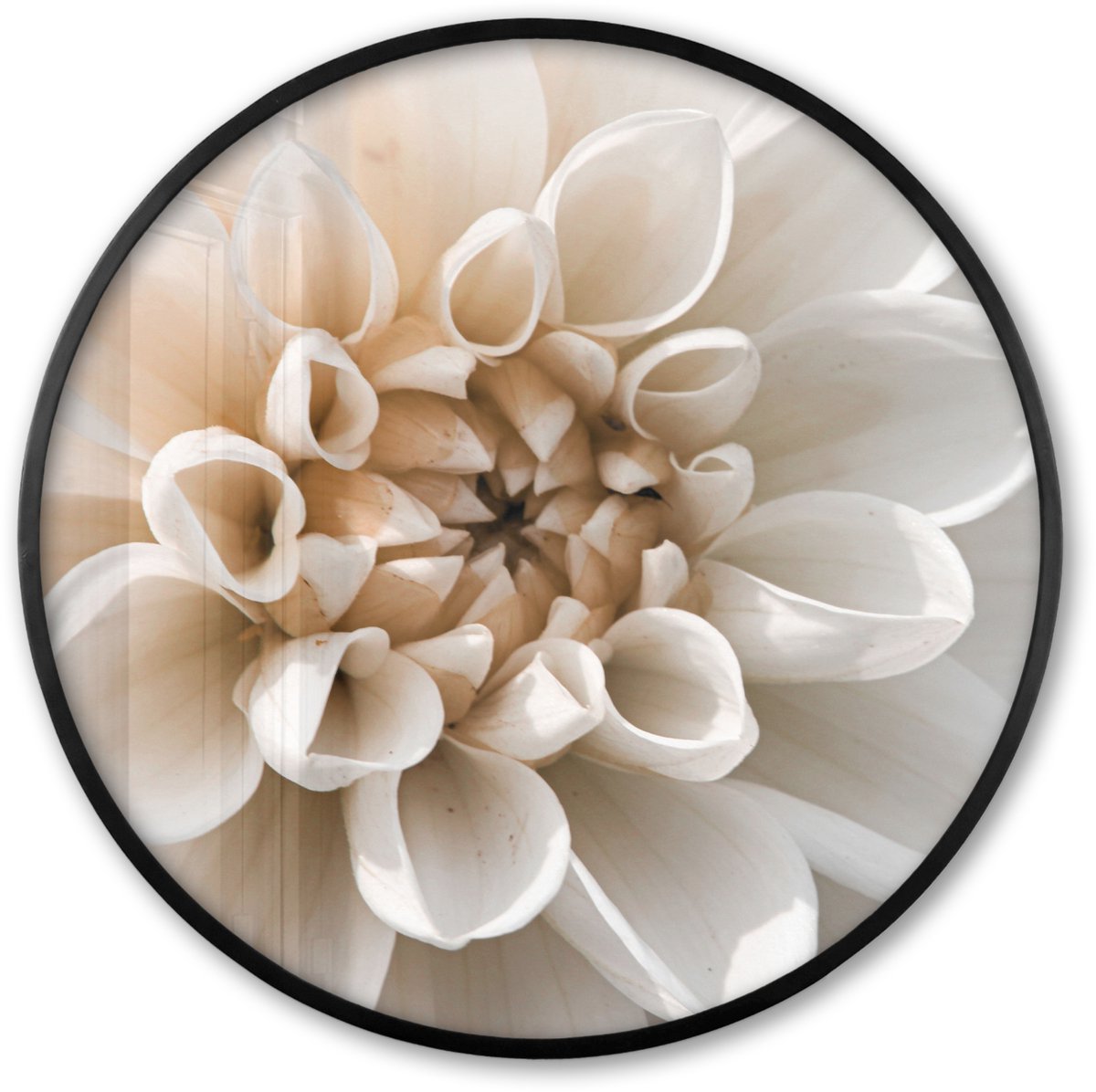 FrameYourWall Poster in lijst Rond - Fotolijst 80x80 cm - Posters - Bloemen - Wit - Natuur - Ronde posterlijst zwart - Decoratie - Wanddecoratie woonkamer - Muurdecoratie slaapkamer
