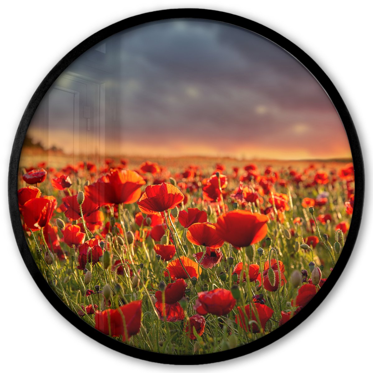 FrameYourWall Poster in lijst Rond - Fotolijst 40x40 cm - Posters - Zonsondergang - Klaprozen - Rood - Bloemen - Veld - Natuur - Ronde posterlijst zwart - Decoratie - Wanddecoratie woonkamer - Muurdecoratie slaapkamer