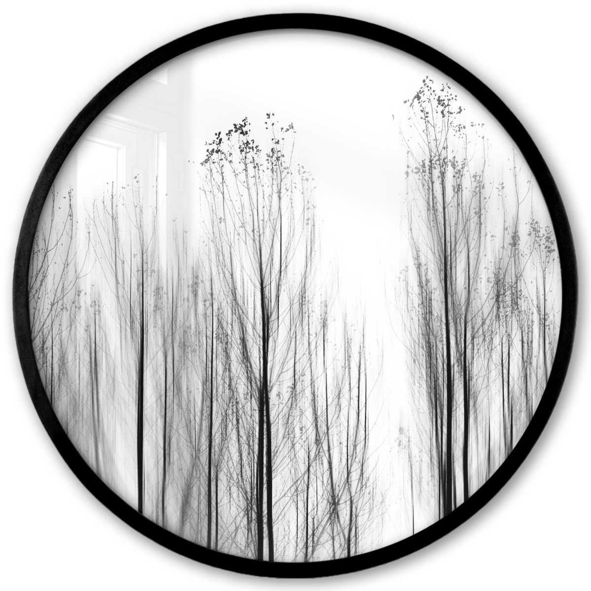 FrameYourWall Poster in lijst Rond - Fotolijst 40x40 cm - Posters - Bomen - Zwart wit - Vogels - Natuur - Ronde posterlijst zwart - Decoratie - Wanddecoratie woonkamer - Muurdecoratie slaapkamer Multicolor