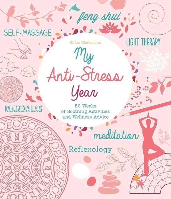 My Anti-Stress Year - cover