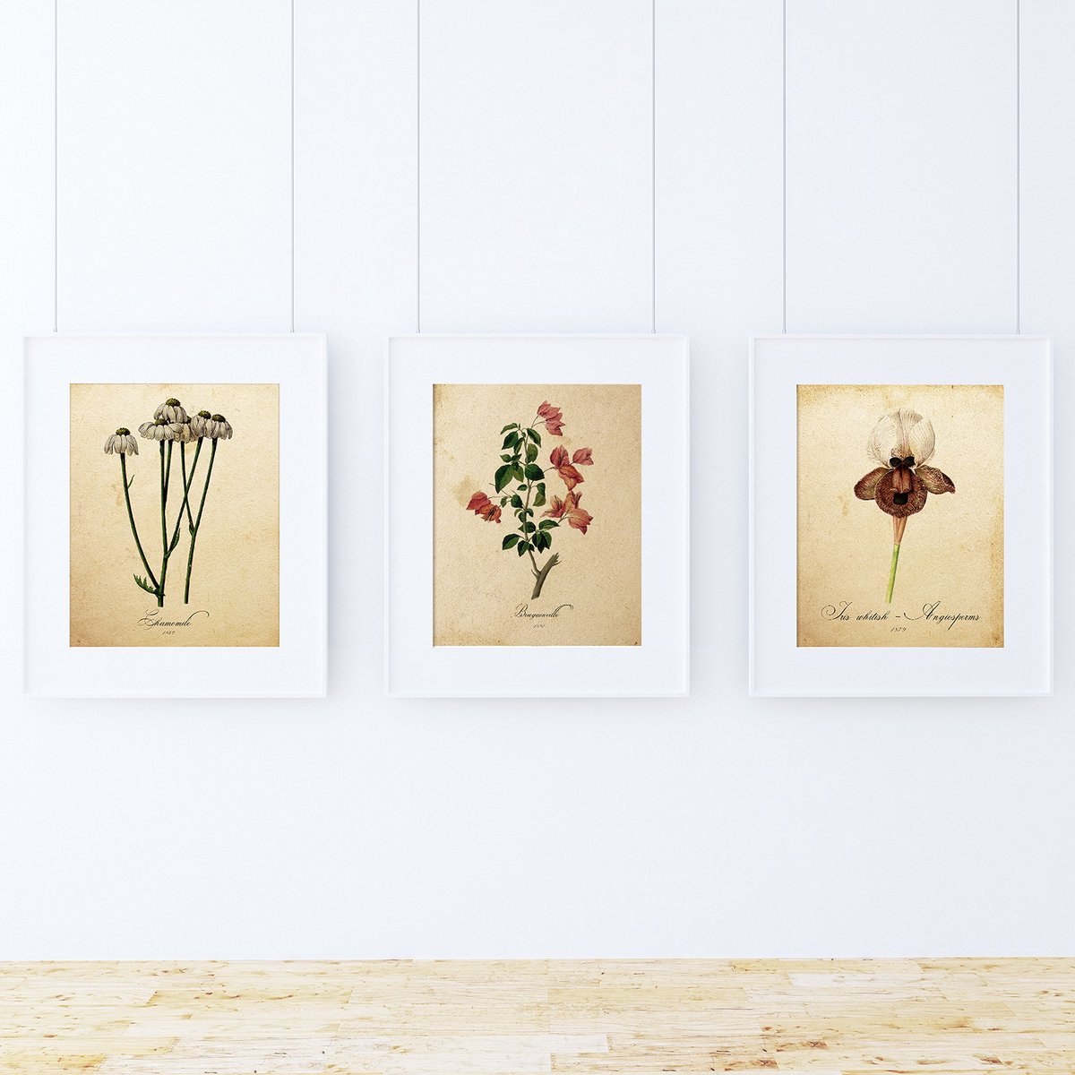 Azomor® Set van botanische posters voor decoratie met natuurillustraties op stevig papier