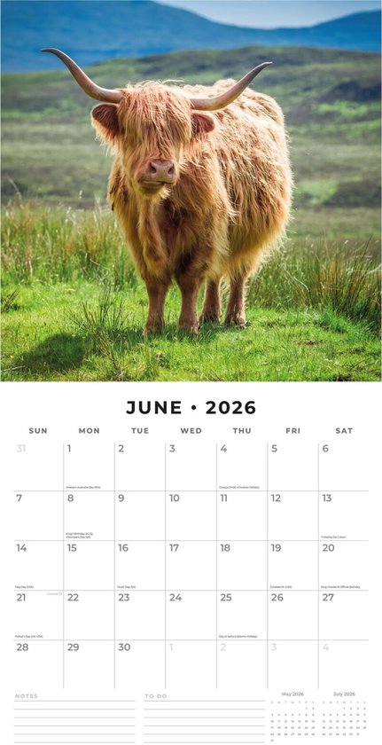 Calendrier des Highlanders écossais 2026