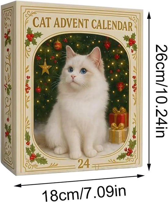 Anatomie adventskalender 2025 - 24 dagen 2D menselijke organen ornamenten en lichaamsdelen