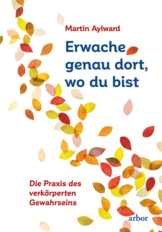 Erwache genau dort, wo du bist - cover