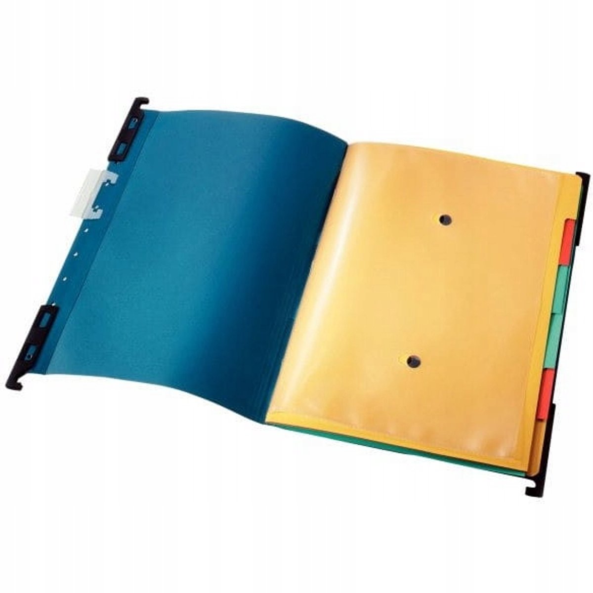 Esselte Hangmap met schotten A4 Blauw 1890-00-35