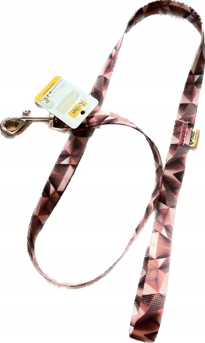 Dingo Polyester Hondenlijn 2/110cm - Kleurrijk en Duurzaam