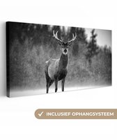 Tableau sur toile - Animaux - Cerf - Hiver - Forêt - Décoration intérieure - 100 x 50 cm - Photo sur toile - Toile de transport