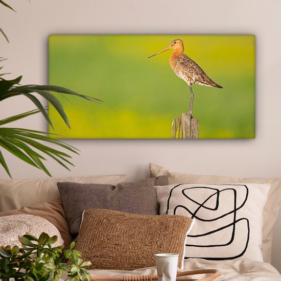 Toile - Tableau - Vogel - Animaux - Barge à queue noire - Perche - Vert - Peintures sur toile - Photo sur toile - 80x40 cm - Décoration murale - Salon