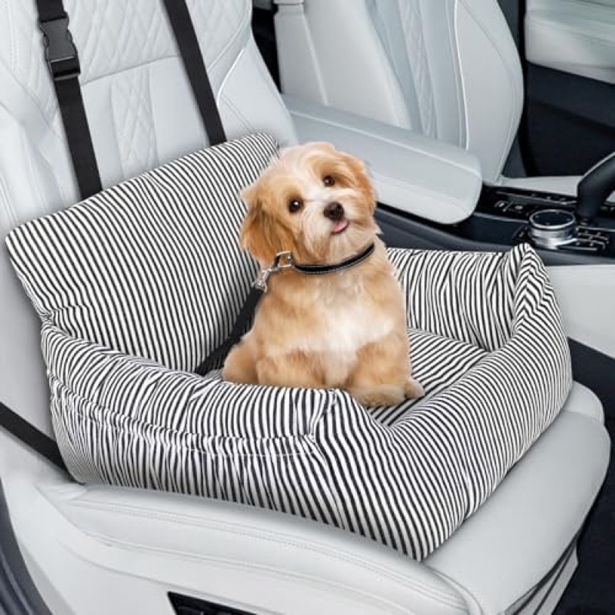 Autostoel voor kleine honden – Veilige reisstoel met afneembaar kussen, veiligheidslijn en opbergvakken – Geschikt voor auto en thuisgebruik