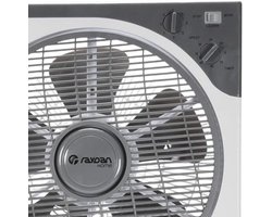 Vloerventilator met Timer en 3 Snelheden - 30 cm, 50 W, Draagbaar voor Thuisgebruik